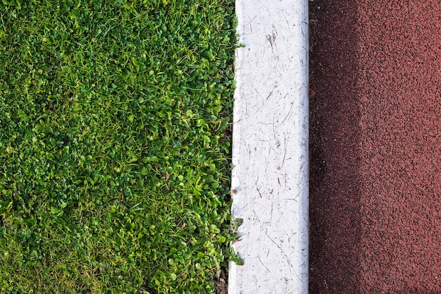 Close-up of grass