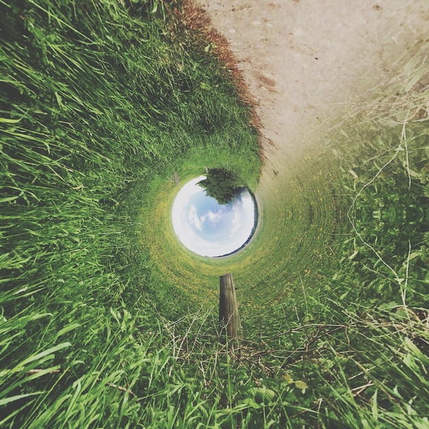 Photo close up of grass