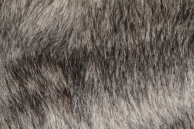 Close up gray dog skin for  and background