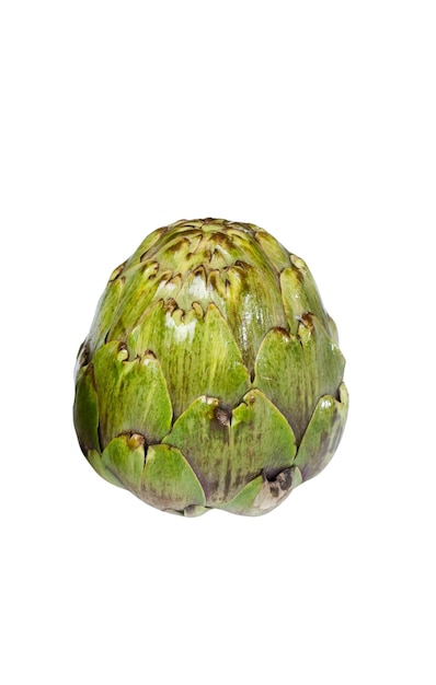 Close up green artichokes on white background