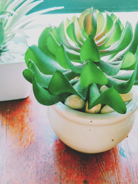 Close-up of green bowl on table