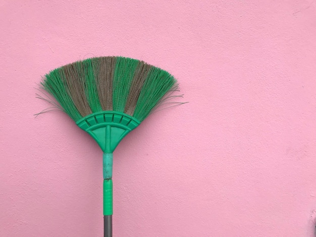 Photo close-up of green broom against pink wall