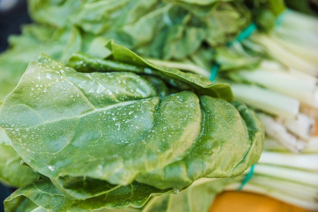 Photo close-up of green fresh chard leaves for sale