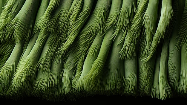 A close up of a green fringed surface