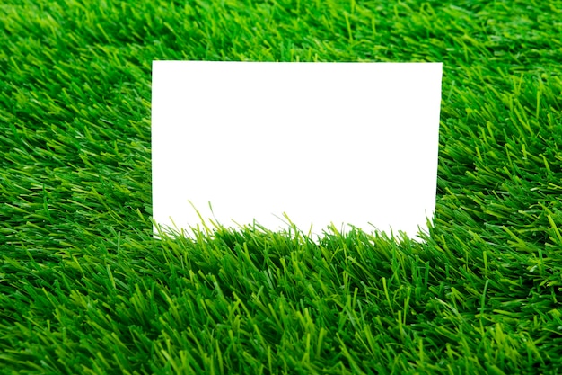 Photo close-up of green grass on field