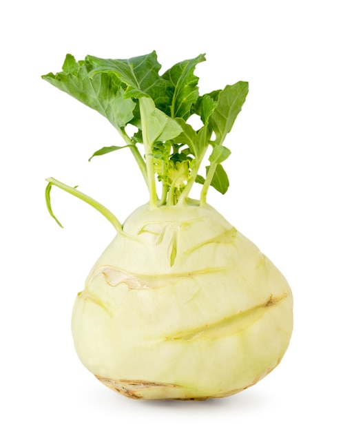 Close up on green kohlrabi isolated