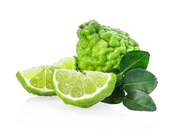 Close-up of green leaf against white background