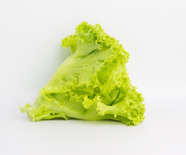 Close-up of green leaf against white background