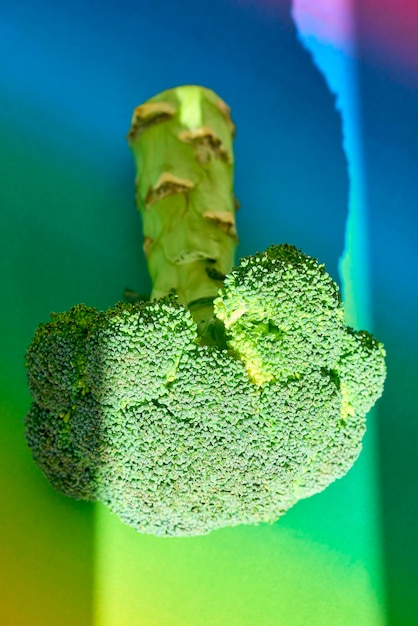 Foto prossimo piano della foglia verde sulla pianta