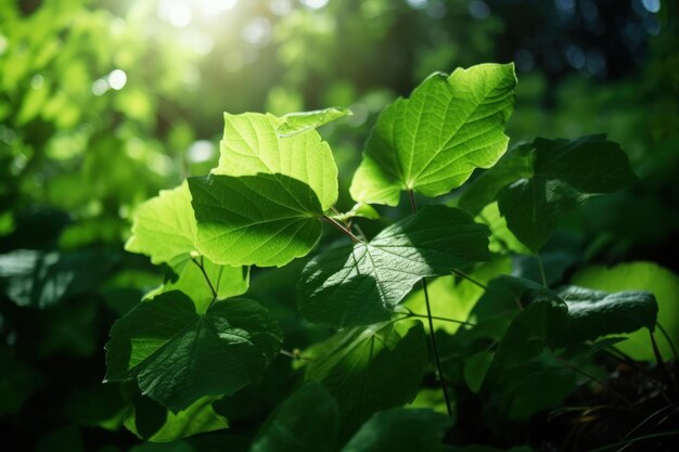 A close up of a green leafy plant generative AI