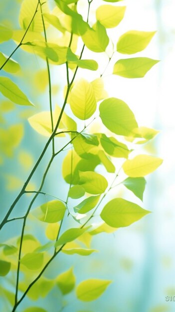 a close up of a green leafy plant with the sun shining through it generative ai