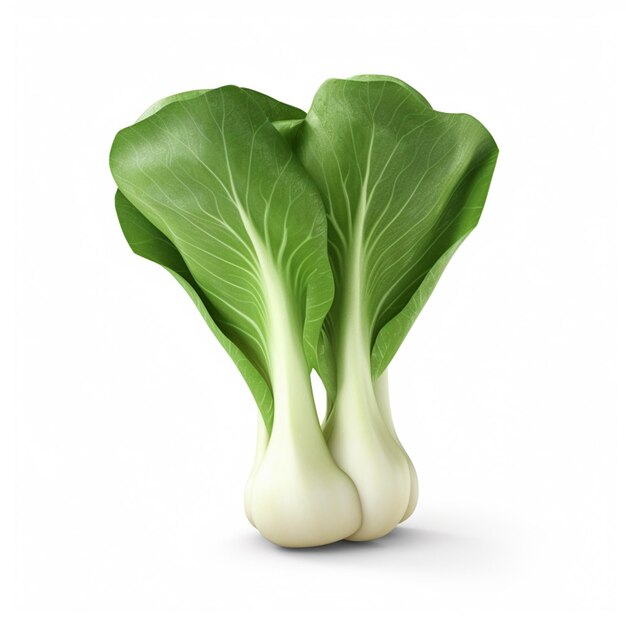 A close up of a green leafy vegetable with the bottom left corner.