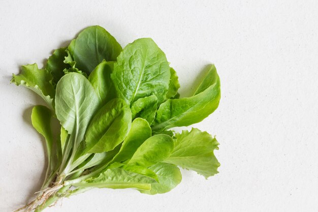 Photo close-up of green leaves against white background