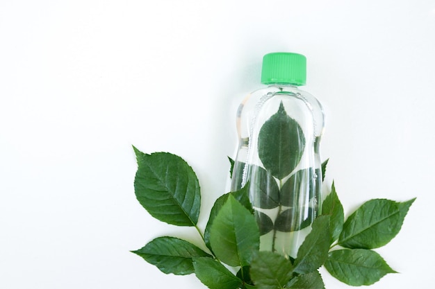close-up of green leaves against white background