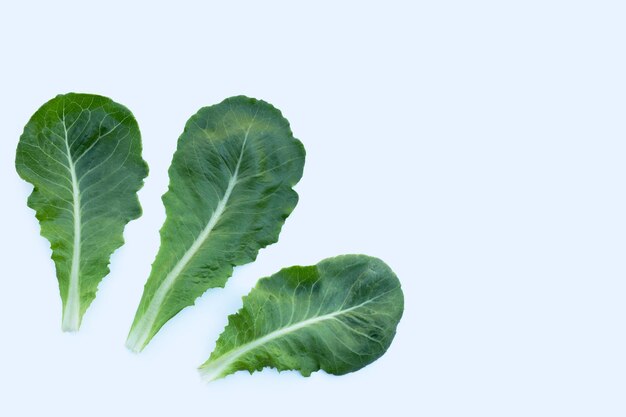 Photo close-up of green leaves against white background