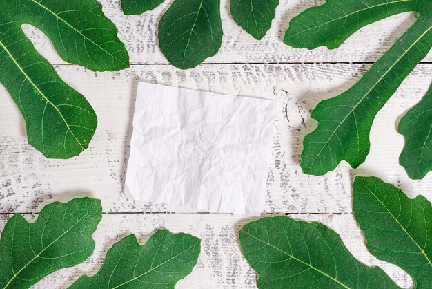 Photo close-up of green leaves on white floor