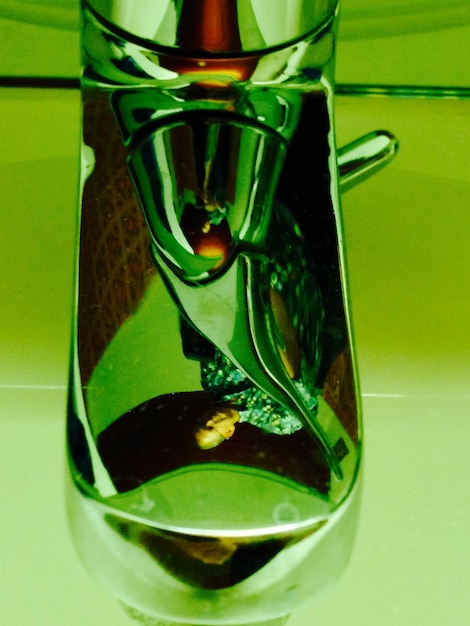 Close-up of green leaves