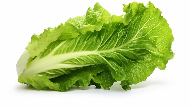 Photo a close up of a green lettuce