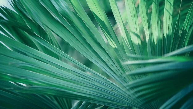 Close up green palm leaves texture fresh wallpaper concept Generative AI