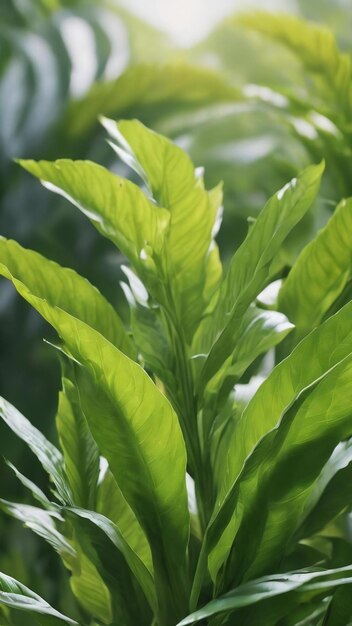 A close up of a green plant with the leaves of the plant in the background