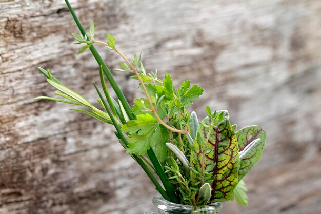 Photo close-up of green plant