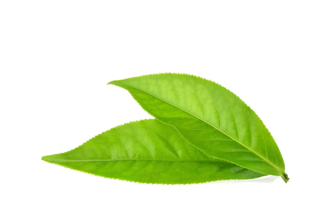 Close up green tea leaves