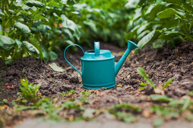 Close-up of green tea light on field