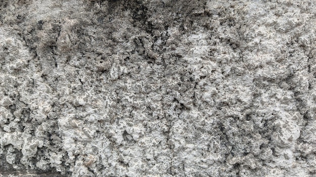 A close up of a grey granite with a black speck pattern.