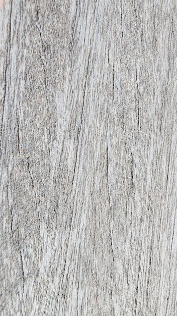 A close up of a grey wood surface with a rough texture.