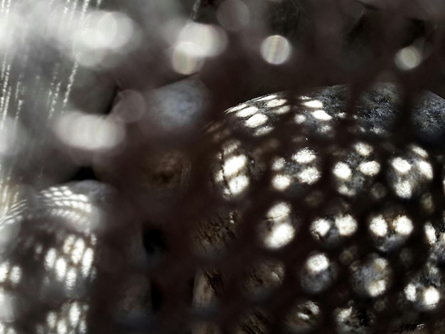 Photo close-up of grid shadow on stones