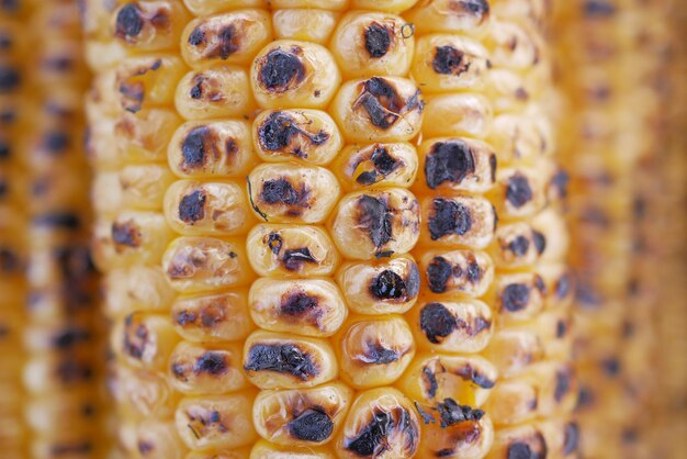 Close up of grilled corn background