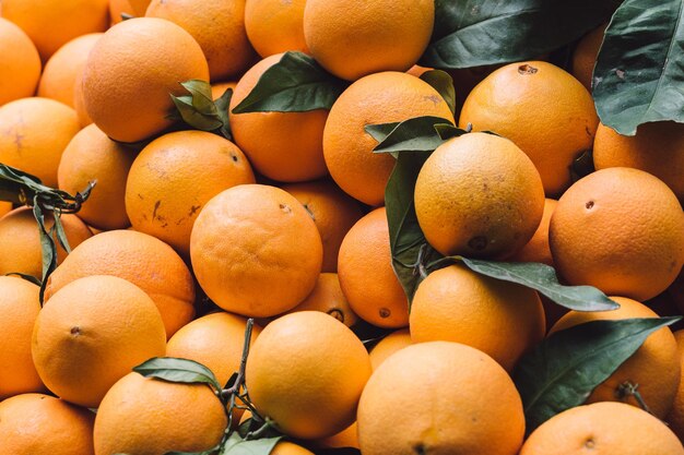 Close up of group of oranges