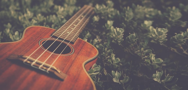 Photo close-up of guitar