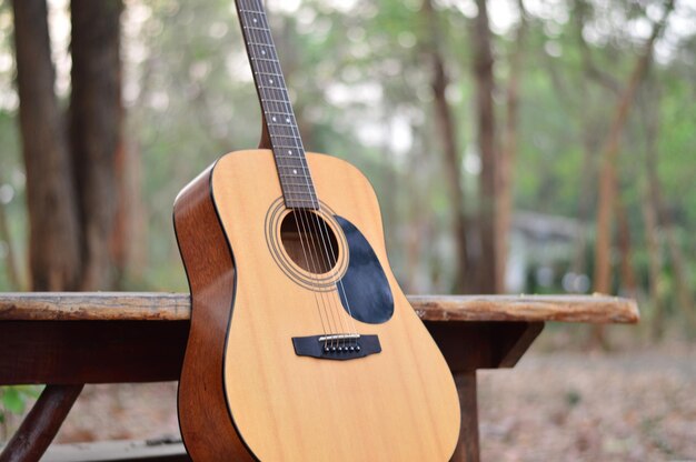 Close-up of guitar