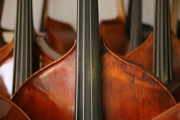 Photo close-up of guitars