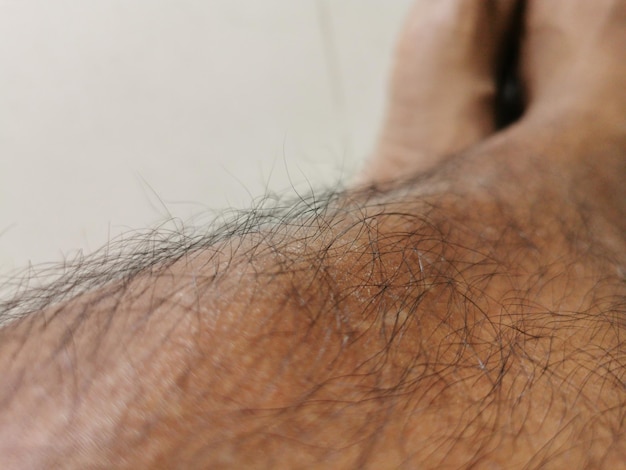 Close-up of hair on leg