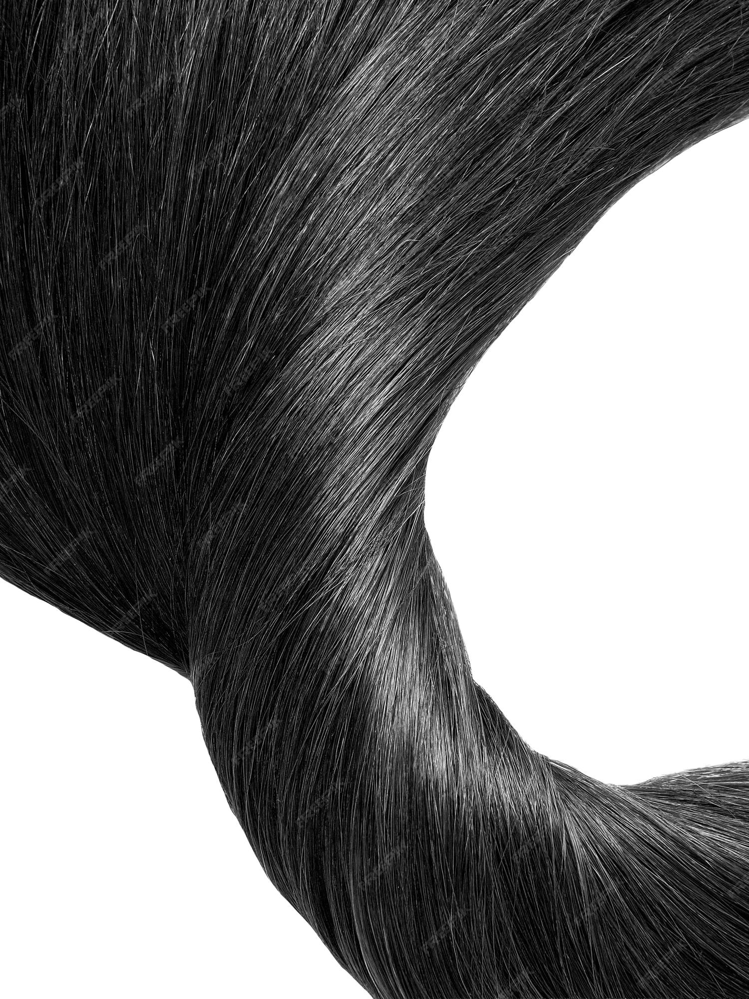 Premium Photo | A close up of a hair with a white background