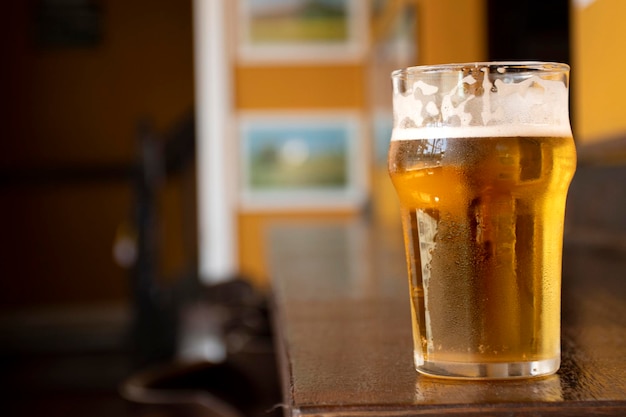 Close up half pint of pale lager pilsen beer with blurred background on pub counter