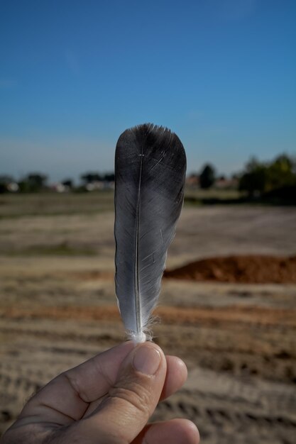 Foto close-up di una mano contro un cielo limpido