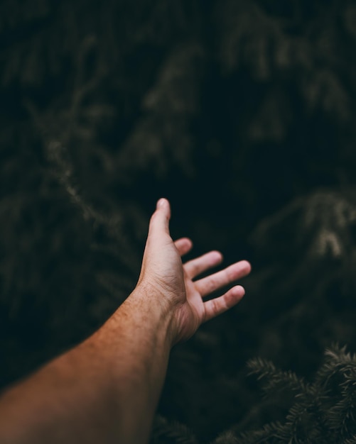 Photo close-up of hand against plants