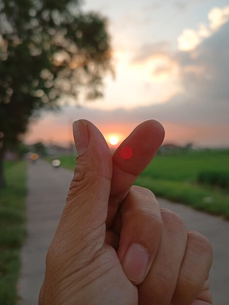 Close-up of hand against sky during sunset