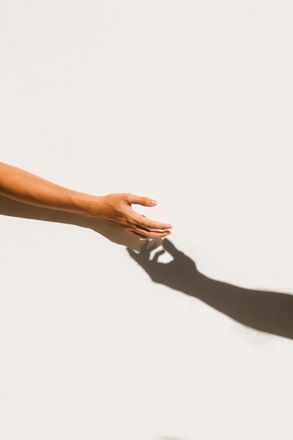 Photo close-up of hand against white background