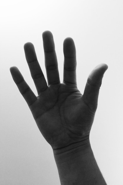 Close-up of hand against white background