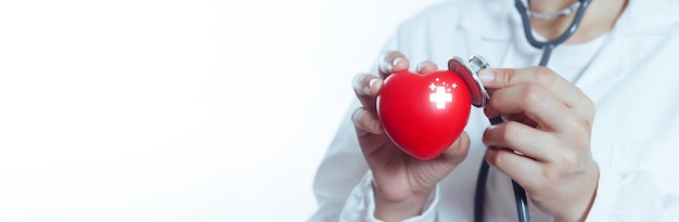 심장, 건강 및 관리 개념을 검사하기 위해 청진기를 사용하여 의사의 손을 닫습니다.