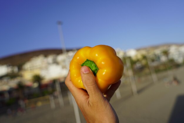 Foto close-up di una mano che tiene una mela contro il cielo