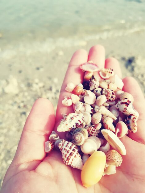 Close-up of hand holding apple at beach