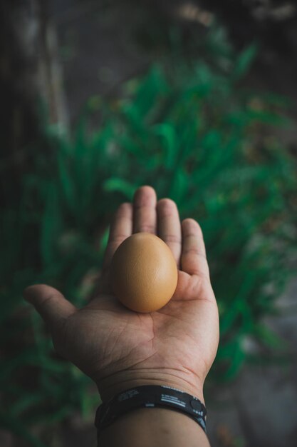 Foto close-up di una mano che tiene una mela