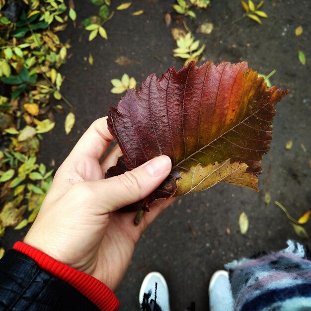 Foto close-up di una mano che tiene una foglia d'autunno