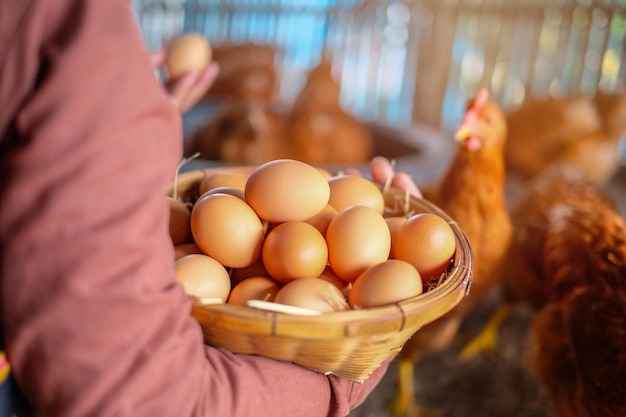 Photo close-up of hand holding basket of eggs