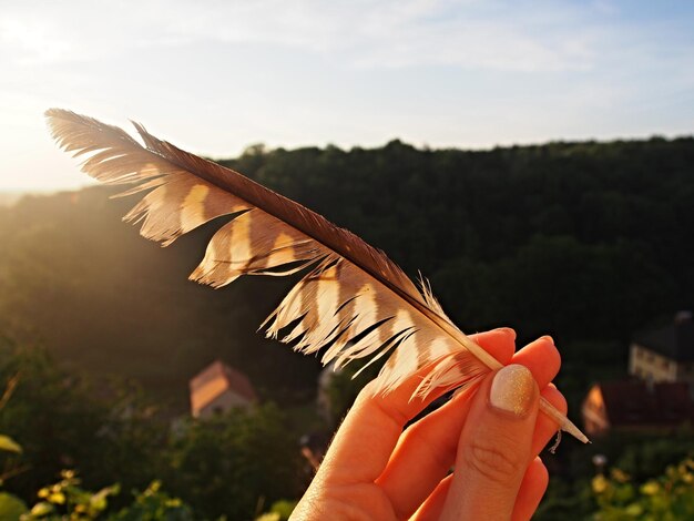 Foto close-up di un uccello in mano che vola contro il cielo